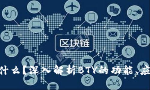 区块链BTY是什么？深入解析BTY的功能、应用与未来发展
