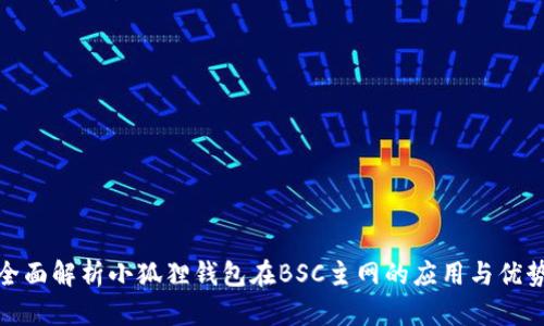 全面解析小狐狸钱包在BSC主网的应用与优势