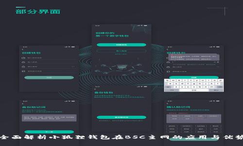 全面解析小狐狸钱包在BSC主网的应用与优势
