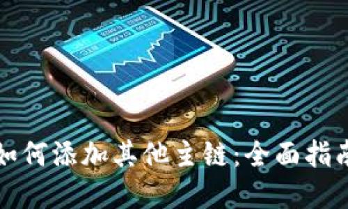 小狐狸钱包如何添加其他主链：全面指南与实用技巧
