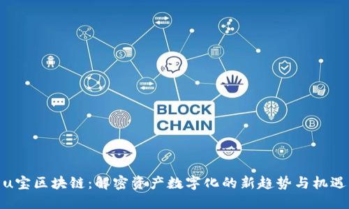 u宝区块链:解密资产数字化的新趋势与机遇