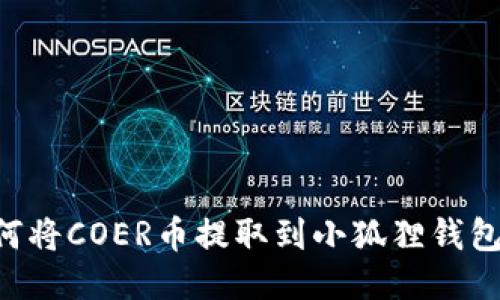 详细指南:如何将COER币提取到小狐狸钱包(MetaMask)