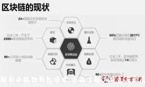  
深入解析小狐狸钱包项目：全面了解其特色与发展潜力