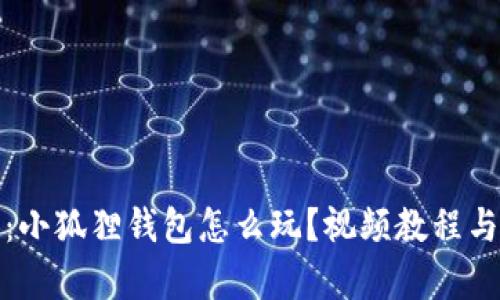 全面解析：小狐狸钱包怎么玩？视频教程与实用技巧