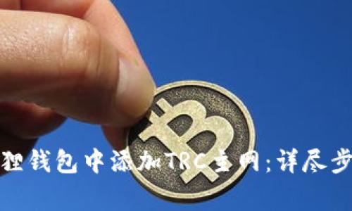 : 如何在小狐狸钱包中添加TRC主网：详尽步骤与注意事项