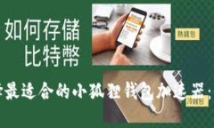 如何选择最适合的小狐狸钱包加速器：全面指南