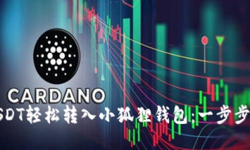 如何将USDT轻松转入小狐狸钱包：一步步详细指南