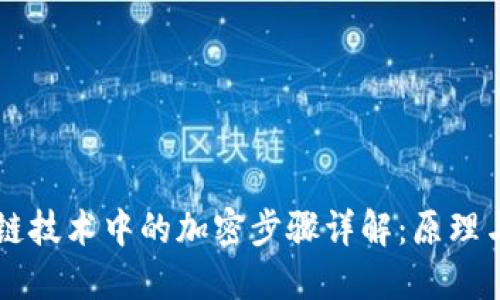 区块链技术中的加密步骤详解:原理与应用