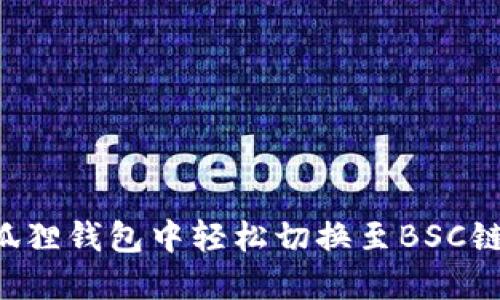 如何在小狐狸钱包中轻松切换至BSC链:详尽指南