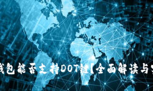 小狐狸钱包能否支持DOT链?全面解读与实用指南