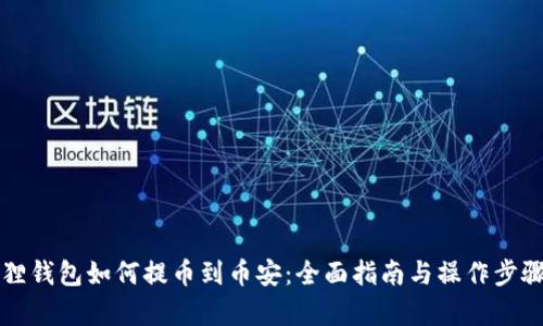 小狐狸钱包如何提币到币安:全面指南与操作步骤解析