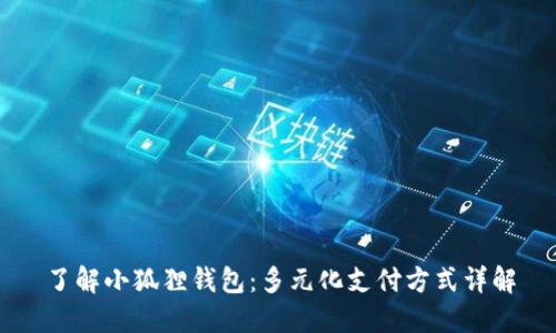 了解小狐狸钱包：多元化支付方式详解