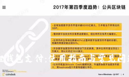 小狐狸钱包支付：使用指南与常见问题解析