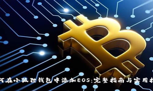 如何在小狐狸钱包中添加EOS:完整指南与实用技巧