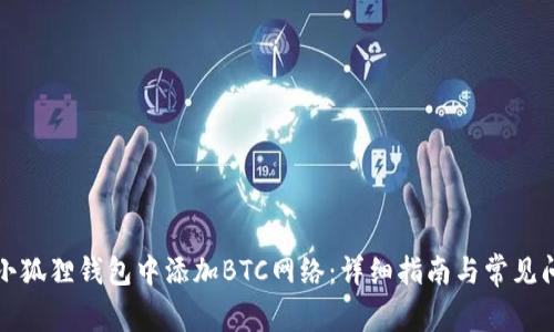 如何在小狐狸钱包中添加BTC网络：详细指南与常见问题解答