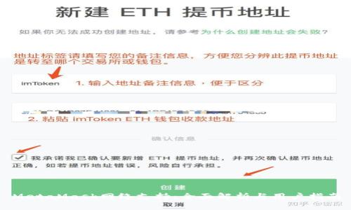 MetaMask网络支持：全面解析与用户指南