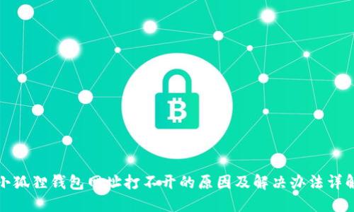 小狐狸钱包网址打不开的原因及解决办法详解