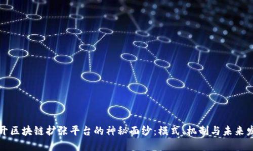 揭开区块链扩张平台的神秘面纱：模式、机制与未来发展