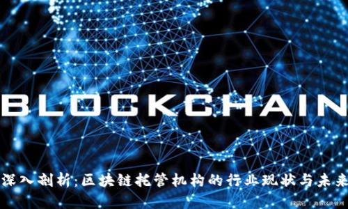 深入剖析：区块链托管机构的行业现状与未来
