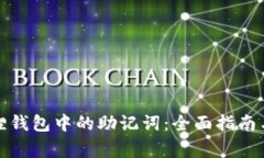 如何查看小狐狸钱包中的助记词：全面指南与常