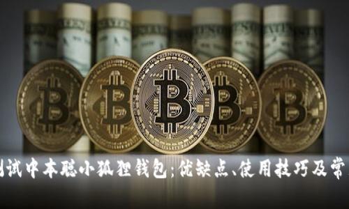 如何全面测试中本聪小狐狸钱包:优缺点、使用技巧及常见问题解答
