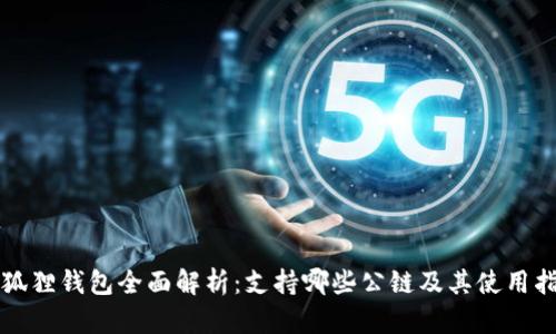 小狐狸钱包全面解析:支持哪些公链及其使用指南