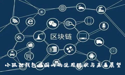 小狐狸钱包在国内的使用现状与未来展望