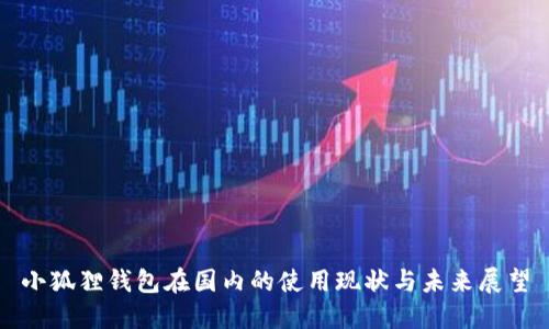 小狐狸钱包在国内的使用现状与未来展望
