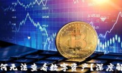 小狐狸钱包为何无法查看数字资产？深度解析及