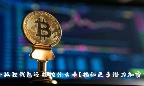 : 小狐狸钱包还能挖什么币?揭秘更多潜力加密货币