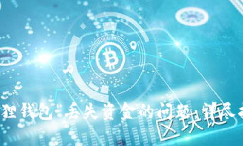 如何解决“小狐狸钱包”丢失资金的问题：详尽指南与案例分析