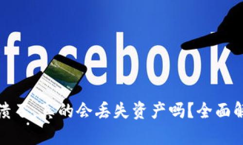 小狐狸钱包崩溃了，真的会丢失资产吗？全面解析与应对方案