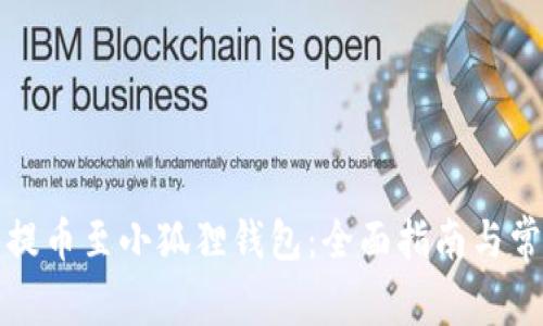 如何将火币提币至小狐狸钱包：全面指南与常见问题解答