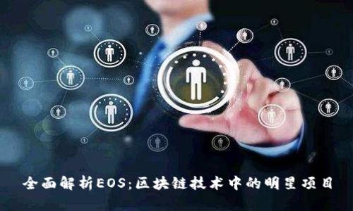全面解析EOS：区块链技术中的明星项目