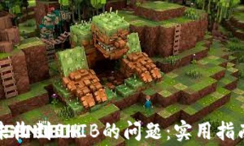 解决小狐狸钱包未收到SHIB的问题:实用指南与常见疑问解答