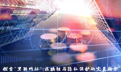 探索“黑猫网站”:区块链与隐私保护的完美结合