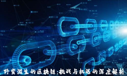 
野蛮滋生的区块链：挑战与机遇的深度解析
