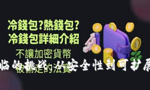 区块链技术面临的挑战：从安全性到可扩展性的全面分析