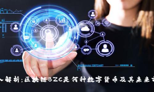 深入解析：区块链BZC是何种数字货币及其未来前景
