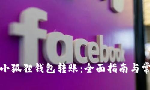 如何成功向小狐狸钱包转账：全面指南与常见问题解答