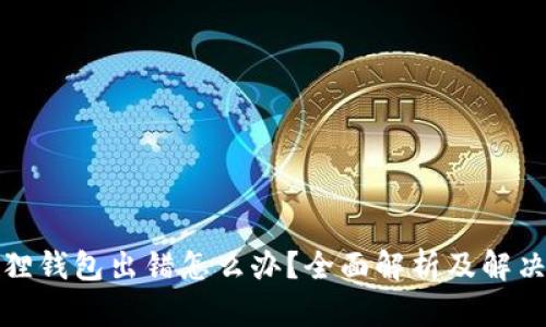 小狐狸钱包出错怎么办?全面解析及解决方案