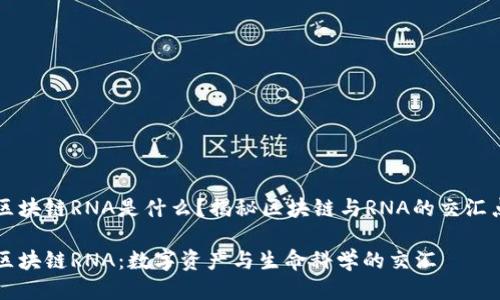 区块链RNA是什么?揭秘区块链与RNA的交汇点
区块链RNA:数字资产与生命科学的交汇