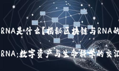区块链RNA是什么?揭秘区块链与RNA的交汇点
区块链RNA:数字资产与生命科学的交汇