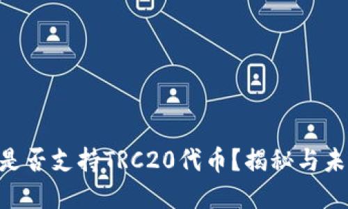 MetaMask钱包是否支持TRC20代币?揭秘与未来发展的可能性