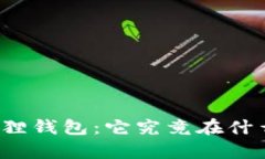 全面解析小狐狸钱包：它究竟在什么交易平台上
