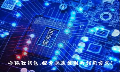 小狐狸钱包：探索快速盈利的创新方式！