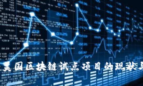 深入解析：美国区块链试点项目的现状与未来展望