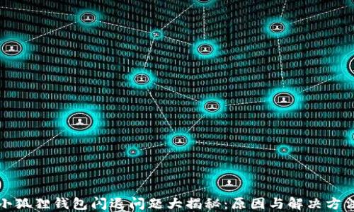 
小狐狸钱包闪退问题大揭秘：原因与解决方法