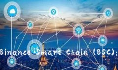 如何在MetaMask中设置Binance Smart Chain (BSC)：详细步