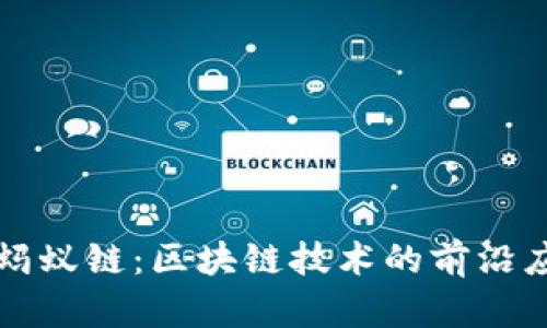 深入了解蚂蚁链:区块链技术的前沿应用与发展